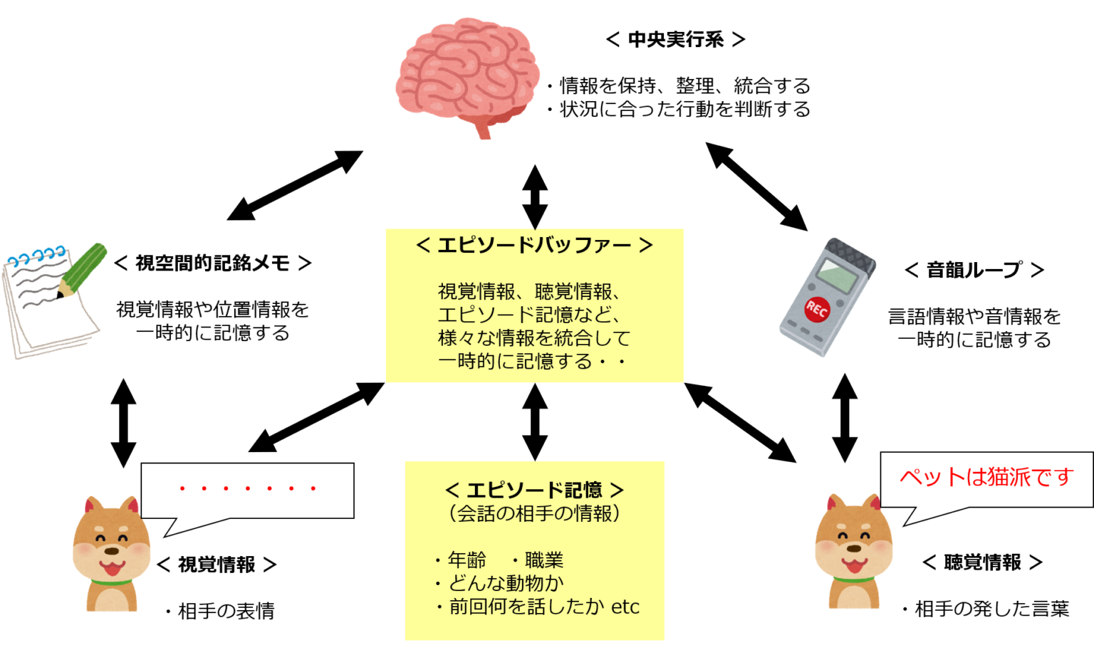 ワーキングメモリとその他の記憶との機能的な違い | リハビリオフィスPINPON